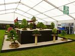 End on to the main stand looking down to the Bonsai classes.